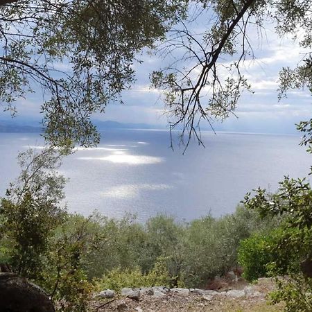 Rizes Sea View Villa Nisaki  Bagian luar foto